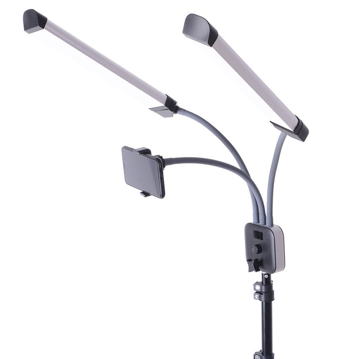 Lumière LED double 50W