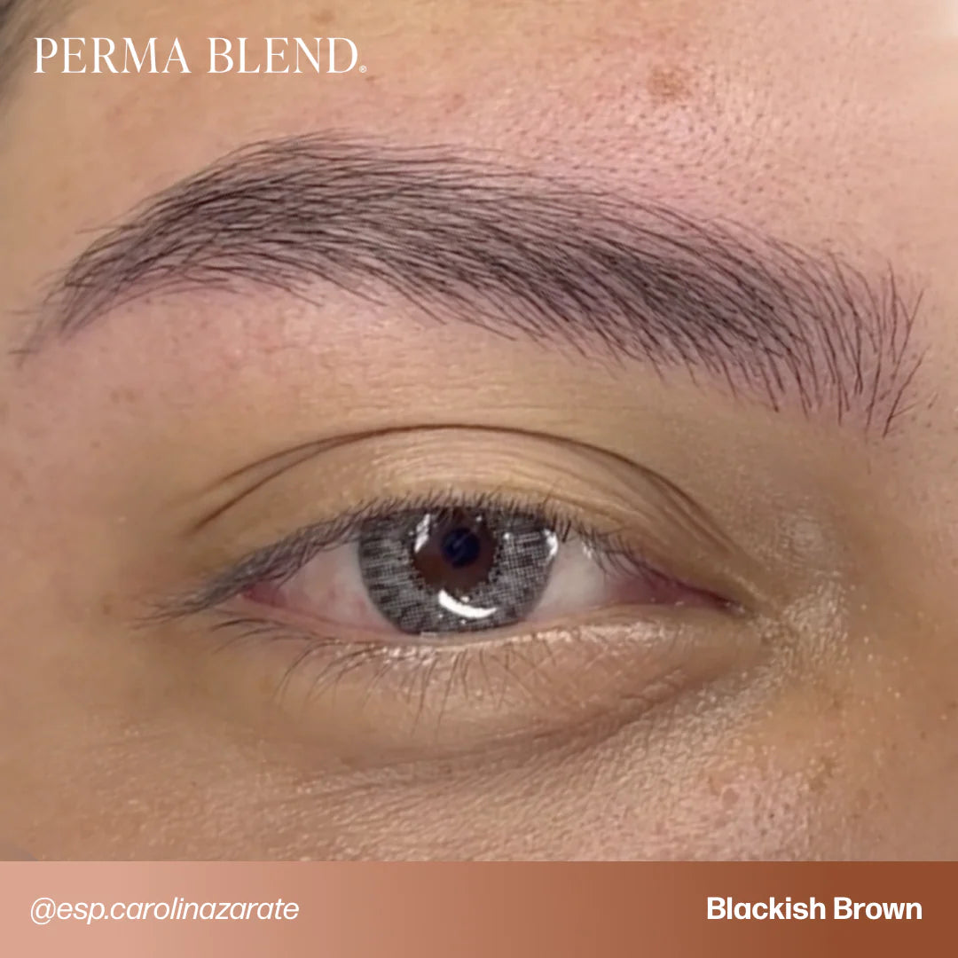 Perma Blend — Signature Brow Set