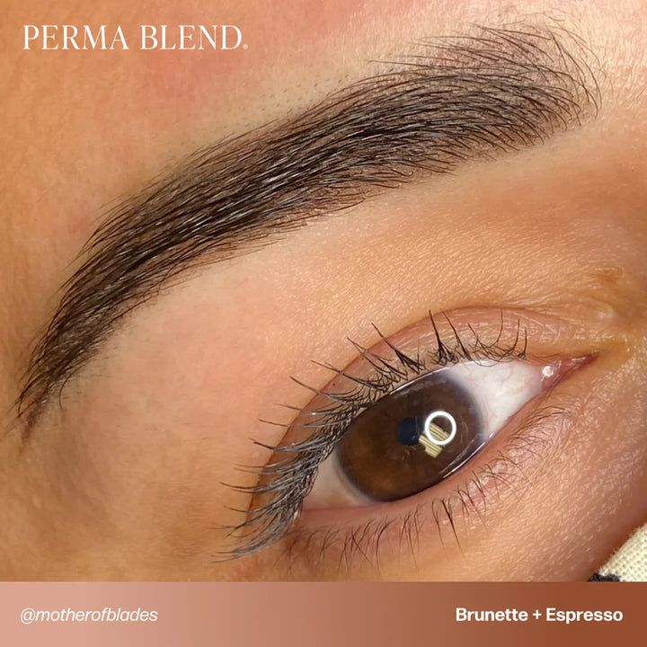 Perma Blend — Signature Brow Set