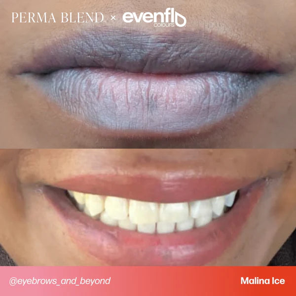 Evenflo Malina Ice