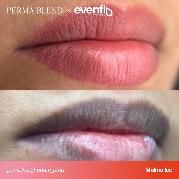 Evenflo Malina Ice