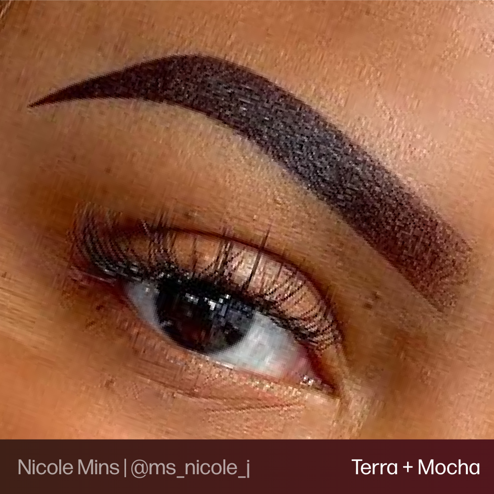 Evenflo Terra - Brow