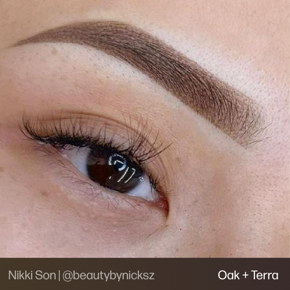 Evenflo Terra - Brow
