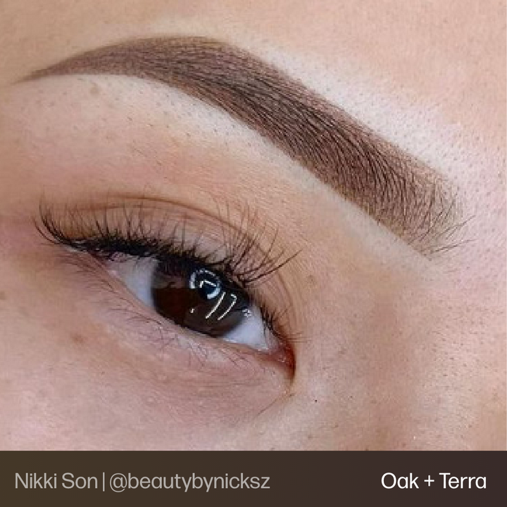 Evenflo Terra - Brow