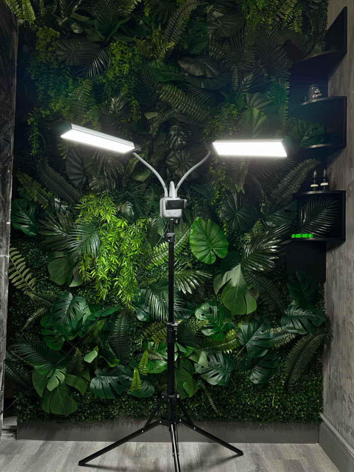Lumière LED double 50W