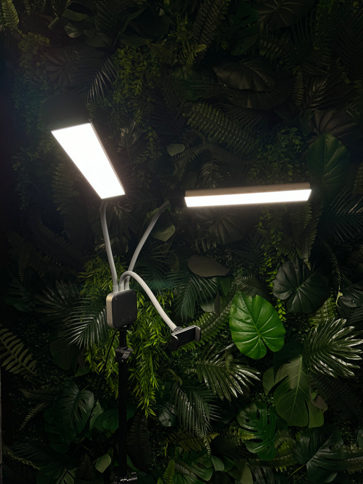 Lumière LED double 50W