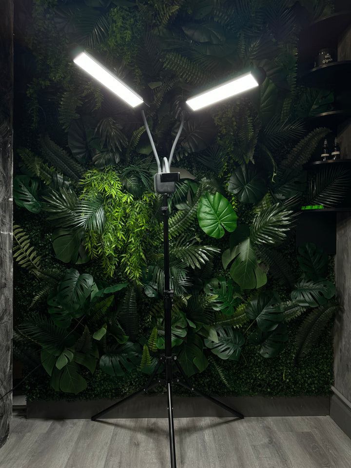 Lumière LED double 50W