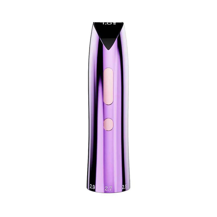 Mast P60 Purple Battery